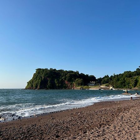 Seaview At No. 26 Northumberland Place Teignmouth Eksteriør bilde
